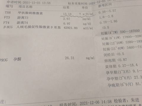 journal_insert_pic_1675033948