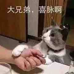 journal_insert_pic_1685240774