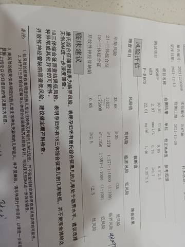 journal_insert_pic_1688320342