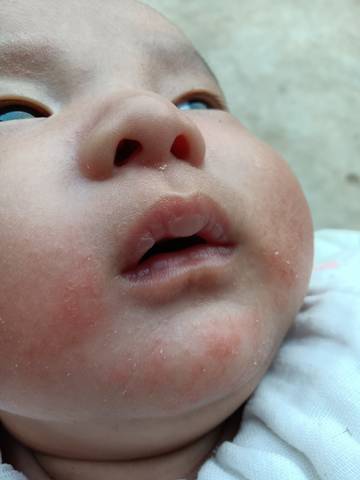 journal_insert_pic_1684254157