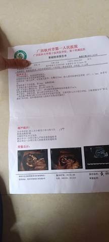 journal_insert_pic_1690484659