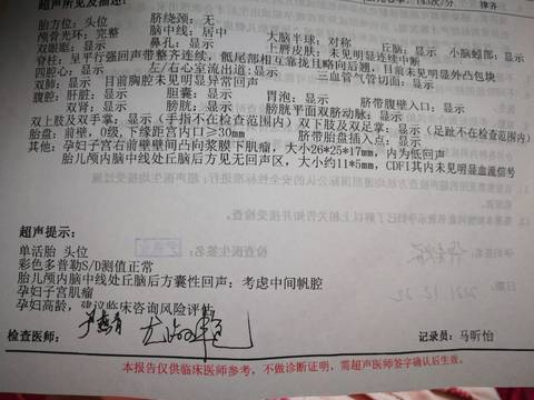 journal_insert_pic_1684247523