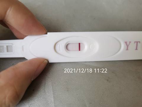 journal_insert_pic_1682538272