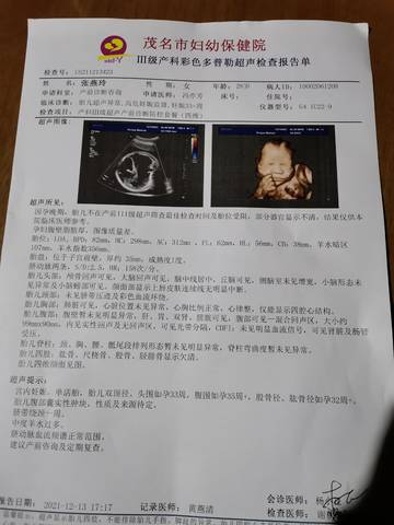 journal_insert_pic_1679512566