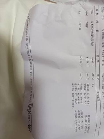 journal_insert_pic_1685465686