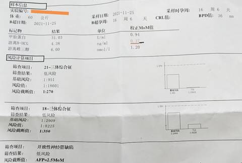 journal_insert_pic_1682047325