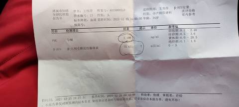 journal_insert_pic_1688059065