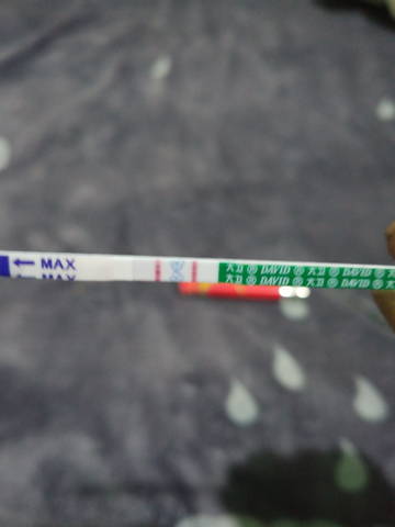 journal_insert_pic_1677589508