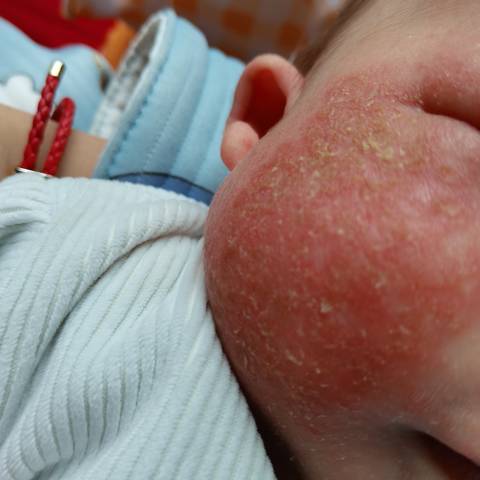 journal_insert_pic_1719443384