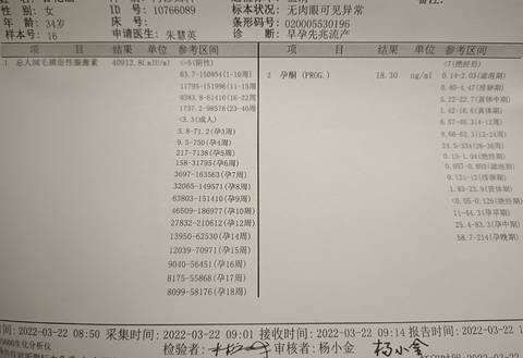 journal_insert_pic_1740950799