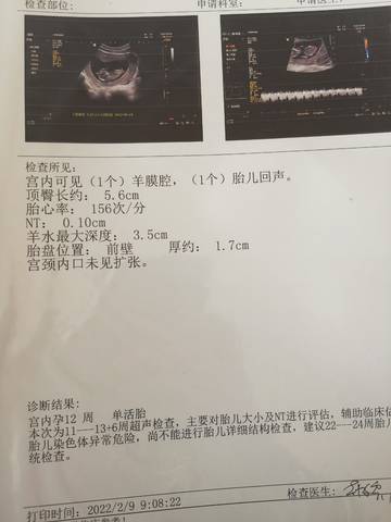 journal_insert_pic_1719417511