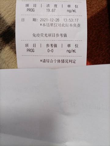 journal_insert_pic_1686928519