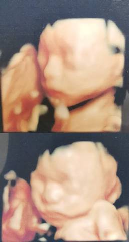 journal_insert_pic_1682389802