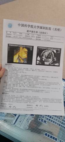 journal_insert_pic_1676061343