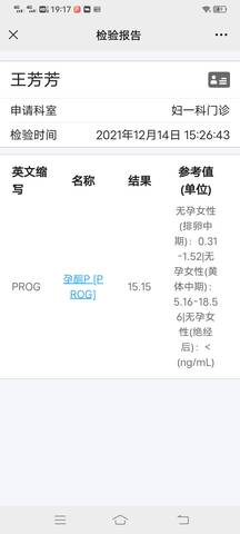 journal_insert_pic_1687198802