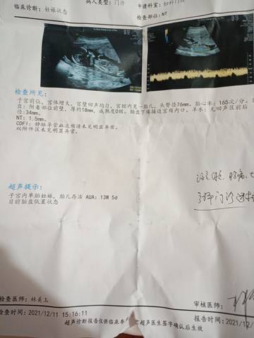 journal_insert_pic_1682939486