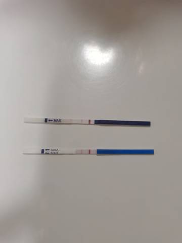 journal_insert_pic_1682652215