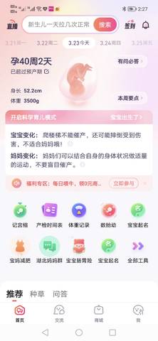 journal_insert_pic_1740938756