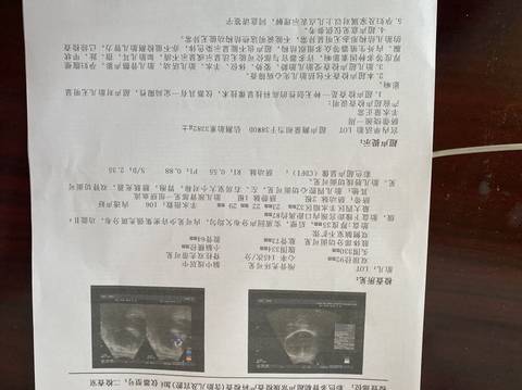 journal_insert_pic_1673502997