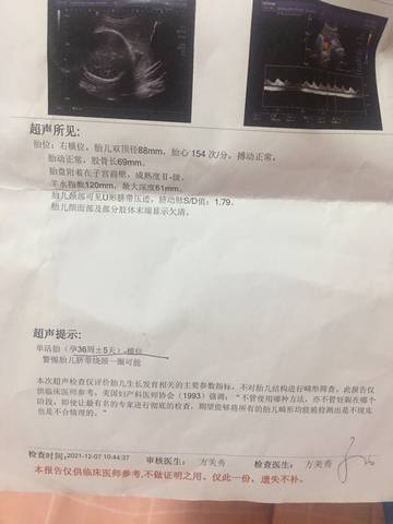 journal_insert_pic_1677984652