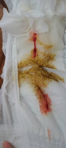 journal_insert_pic_1682854465