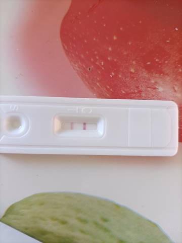 journal_insert_pic_1688845425