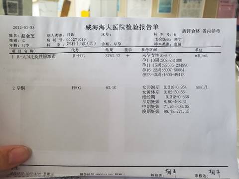journal_insert_pic_1740954397