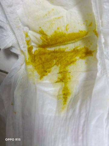 journal_insert_pic_1679937115