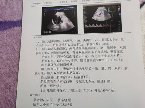 journal_insert_pic_1673470639