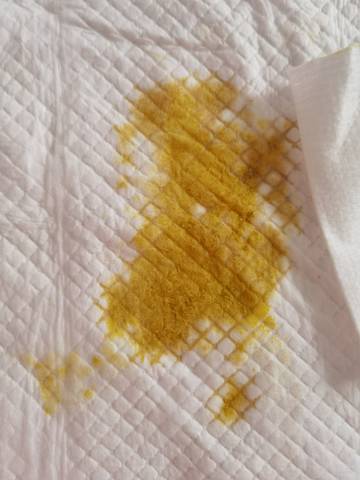 journal_insert_pic_1685456986