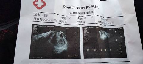 journal_insert_pic_1684361545