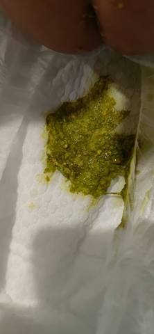 journal_insert_pic_1679264318