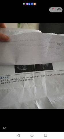 journal_insert_pic_1681114282