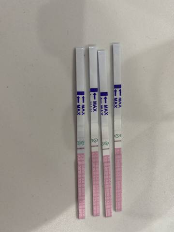 journal_insert_pic_1684918050