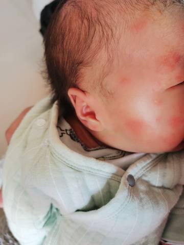 journal_insert_pic_1688999682