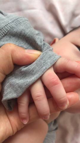 journal_insert_pic_1681365040