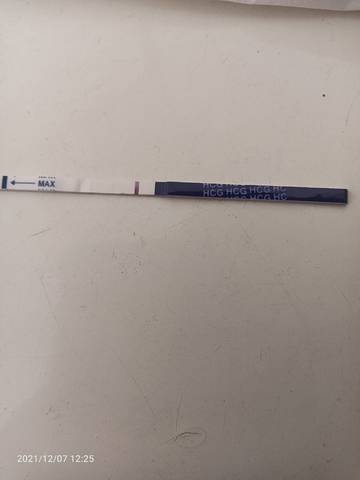 journal_insert_pic_1675394268