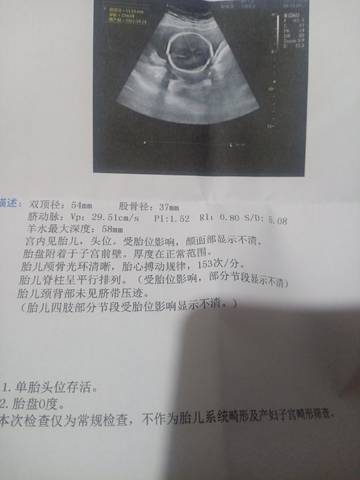 journal_insert_pic_1688479478