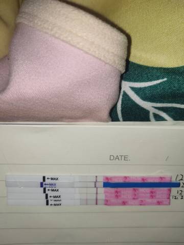 journal_insert_pic_1686269710
