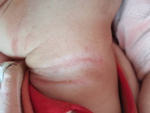 journal_insert_pic_1740879407