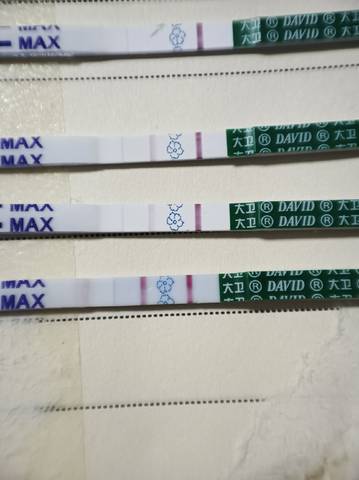 journal_insert_pic_1676417672