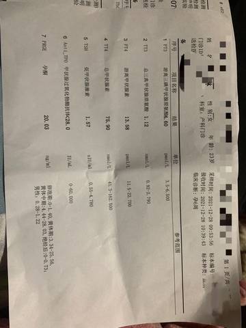 journal_insert_pic_1687866654