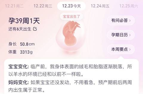 journal_insert_pic_1684619052