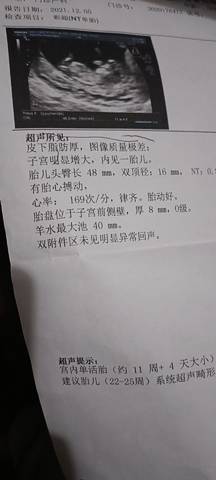 journal_insert_pic_1681031675