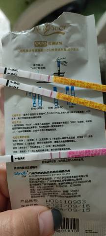 journal_insert_pic_1675984638