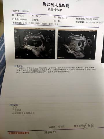 journal_insert_pic_1690267354