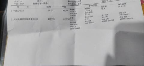 journal_insert_pic_1681566100