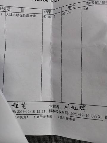 journal_insert_pic_1685722885