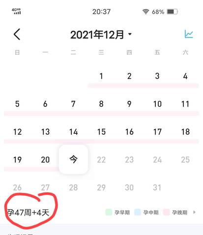 journal_insert_pic_1683788767