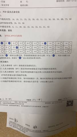 journal_insert_pic_1688483661